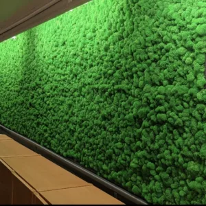 Moss wall decor