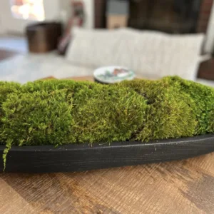 Long Moss Centerpiece in Wooden Vase